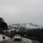 La carretera CA-9104 que comunica Grazalema y Zahara de la Sierra