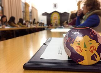 El Consejo Provincial de Igualdad coordina las actuaciones a desarrollar durante el presente año