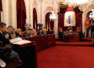 El Pleno aprueba una auditoría de las políticas públicas realizadas entre 2007 y 2017