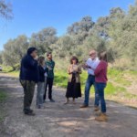 file_00000000df707243a2d1362b6c536df9