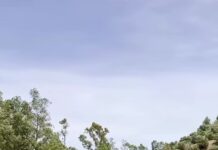 La «Playita» de Zahara de la Sierra inicia temporada con importantes mejoras tras un duro invierno