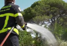 El Ayuntamiento de Chiclana declara época peligro de incendios forestales entre el 30 de mayo y el 15 de octubre