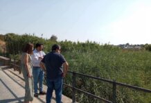 Comienzan las obras de emergencia en el Arroyo Salado de Espera para reducir el riesgo de inundaciones