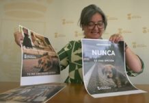 El Ayuntamiento de Chiclana pone en marcha una campaña de sensibilización contra el abandono de animales en verano