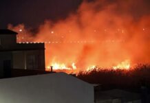 VOX Chiclana reclama que se intensifiquen las labores de limpieza, desbroce y vigilancia para evitar incendios