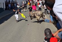 Dos heridos de diferente consideración en el Toro del Barrio Bajo de Arcos