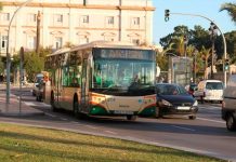 Los autobuses urbanos de Cádiz permitirán el acceso de mascotas en transportín
